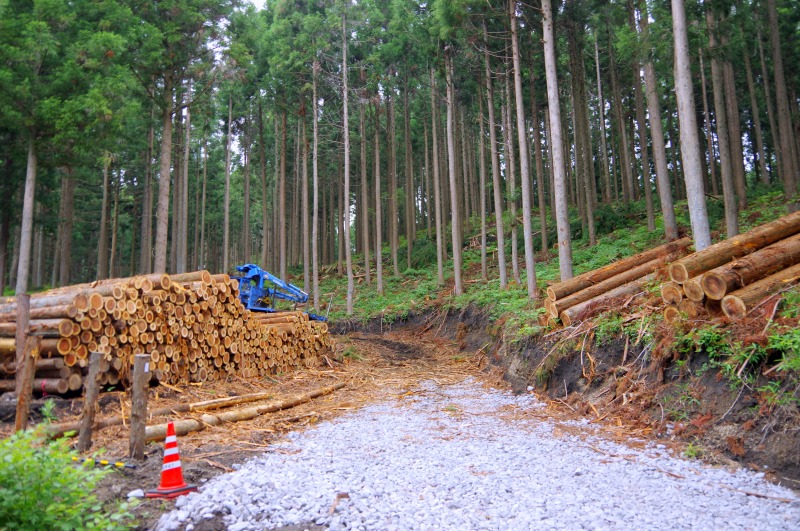 持続可能な森林管理へ　農林中金が７案件の助成決める　